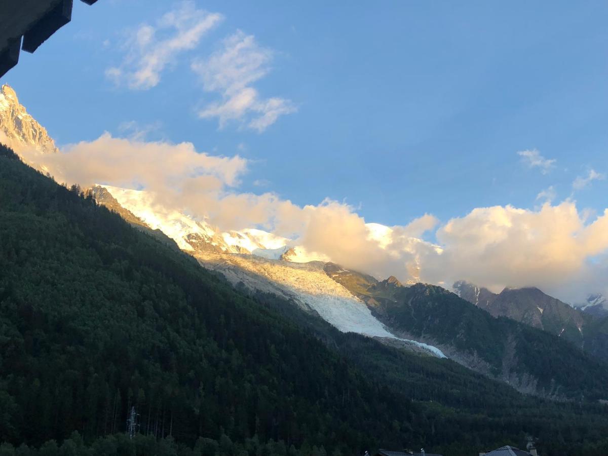 シャモニーMont Blanc 43, Vue Mont Blanc , Balcon, Parkingアパートメント エクステリア 写真
