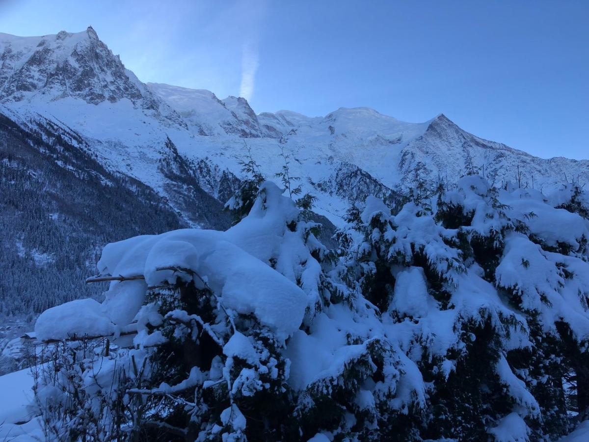 シャモニーMont Blanc 43, Vue Mont Blanc , Balcon, Parkingアパートメント エクステリア 写真